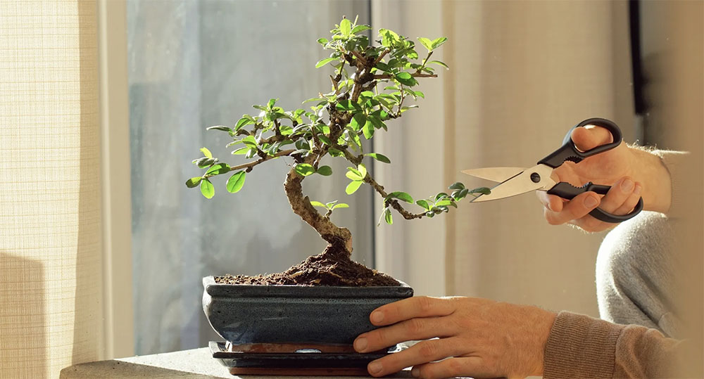 El riesgo y coste del micromanagement (y su&nbsp;contrario)