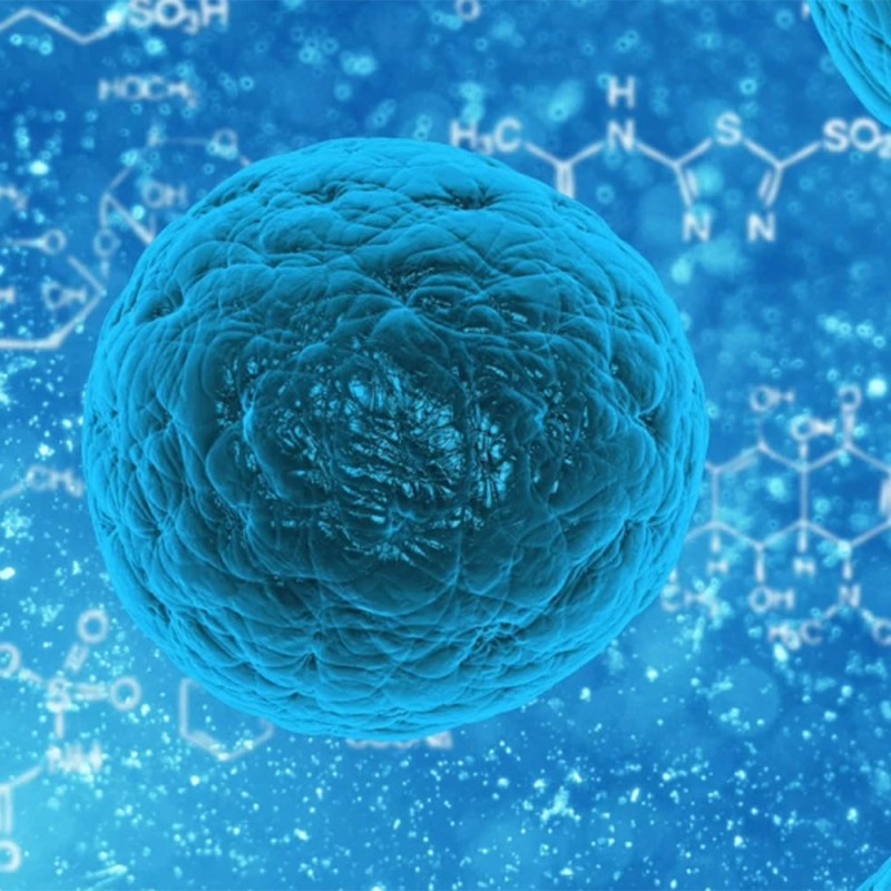 Innovación organizacional: tres estrategias para vencer la resistencia al&nbsp;cambio