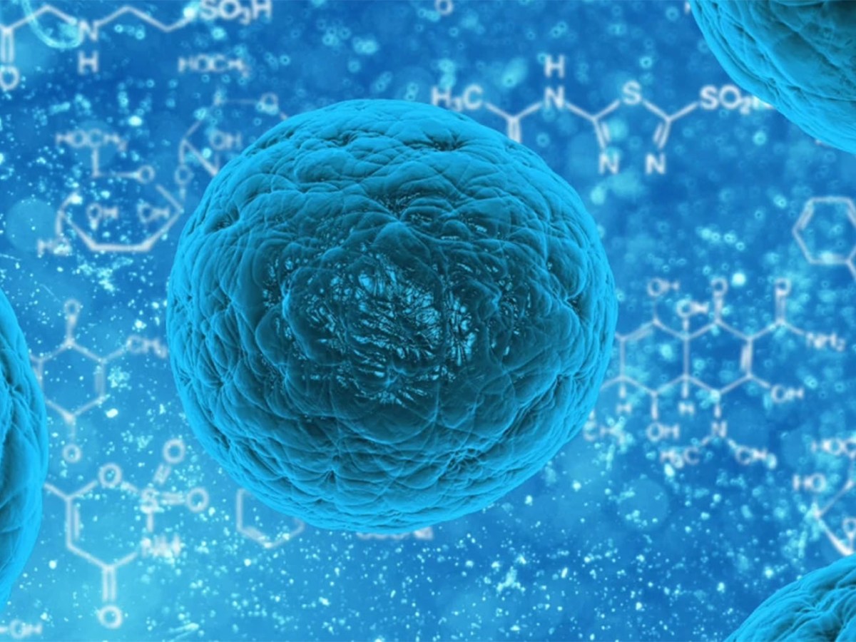 Innovación organizacional: tres estrategias para vencer la resistencia al&nbsp;cambio