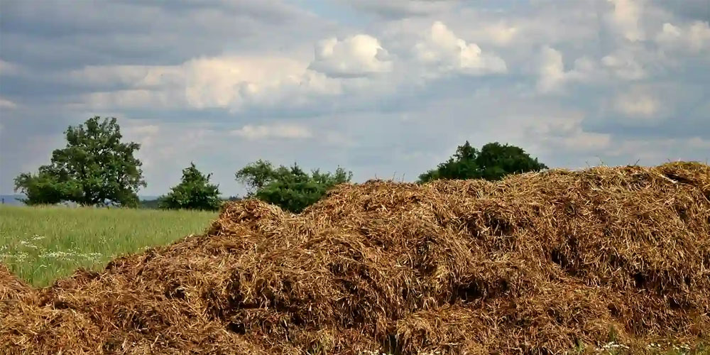 Enshittification & brain rot. Algo huele a…&nbsp;oportunidad