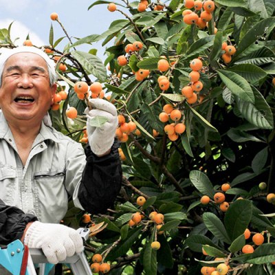 Cuando tu cerebro se&nbsp;jubila
